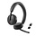 Dell WL3024 Draadloze Headset - AI Noise Cancelling & USB-C