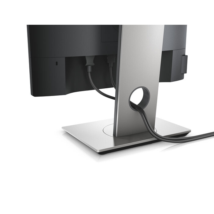 Dell Dell 19 Monitor - P1917S - 48cm(19) Black EURC