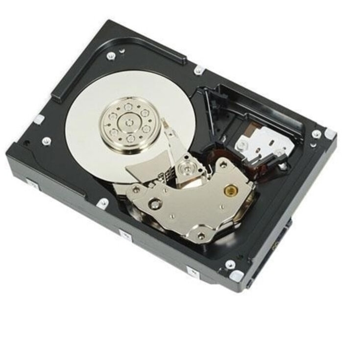 Dell Dell 12TB SAS 12Gbps 7.2K RPM 3.5-inch Enterprise Harde Schijf (Cabled Kit)