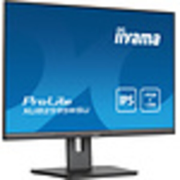 iiyama IIYAMA ProLite 25 inch - WUXGA IPS LED Monitor - 1920x1200 - Pivot / HAS [NEW DAMAGED BOX]