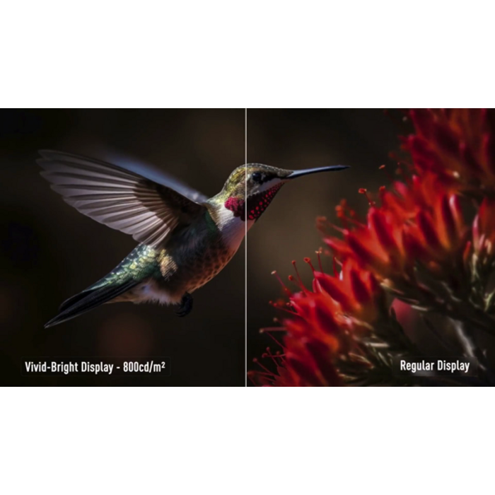 iiyama IIYAMA ProLite 55 inch - 4K Ultra HD Professional Digital Signage Display - 3840x2160