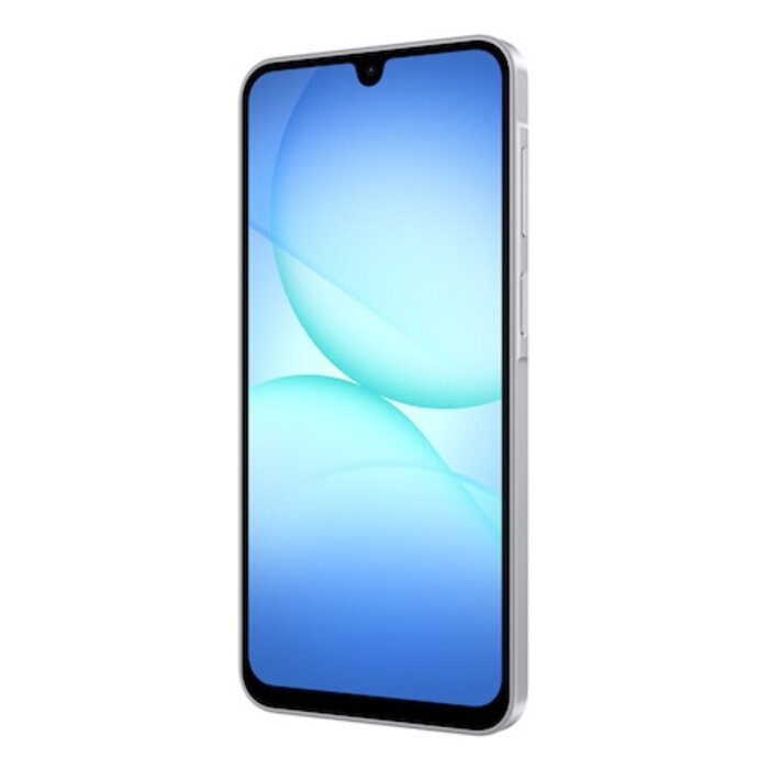 Samsung Samsung A-175 A17 4G 128GB grijs