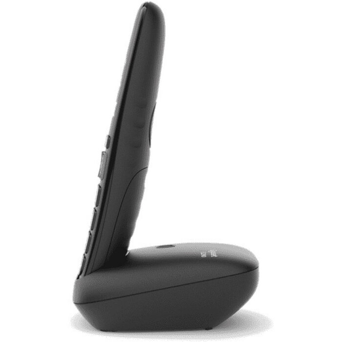 Gigaset Gigaset E290R Duo Big Button Black