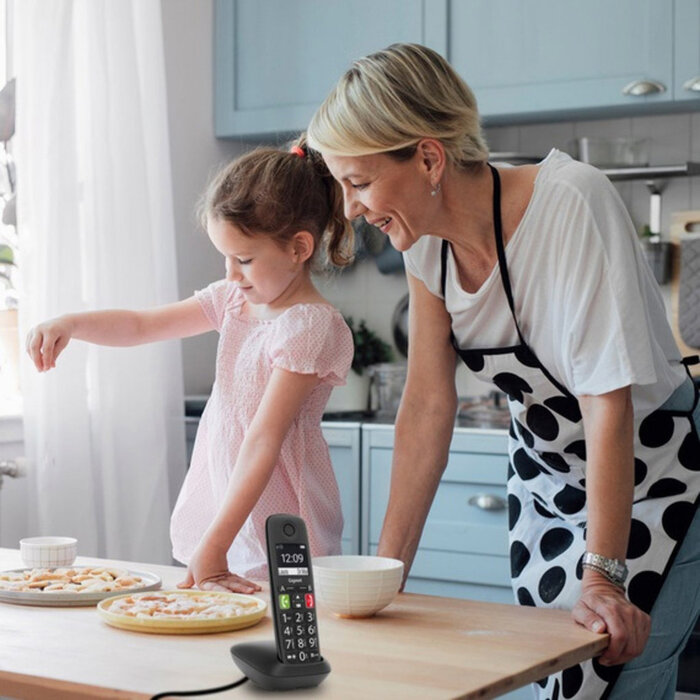 Gigaset Gigaset E290 Big Button Black