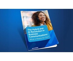 Mitel Mitel 5617 Messenger DECT-telefoon (51311031)