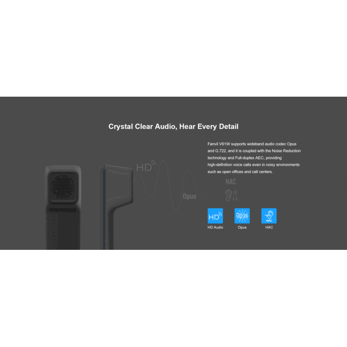 Fanvil Fanvil V61W SIP-Phone