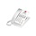 Vtech A2210 Silver & Pearl (10 keys)  1-Line Analog Corded Phone, 10 programmable keys