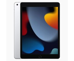 Refurbished Apple Refurbished Apple iPad 2021 256GB Wifi Zilver - Zichtbaar gebruikt