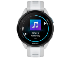 Garmin Garmin Forerunner 165 Music GPS Hardloophorloge - Mist Grey / Whitestone