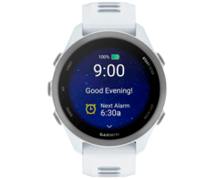 Garmin Garmin Forerunner 170 GPS Hardloophorloge - Whitestone / Cloud Blue