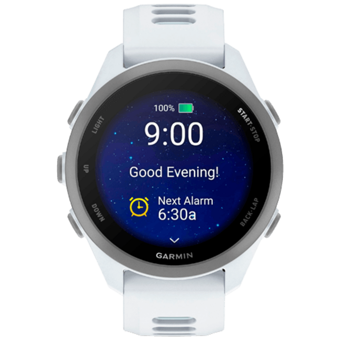 Garmin Garmin Forerunner 170 GPS Hardloophorloge - Whitestone / Cloud Blue