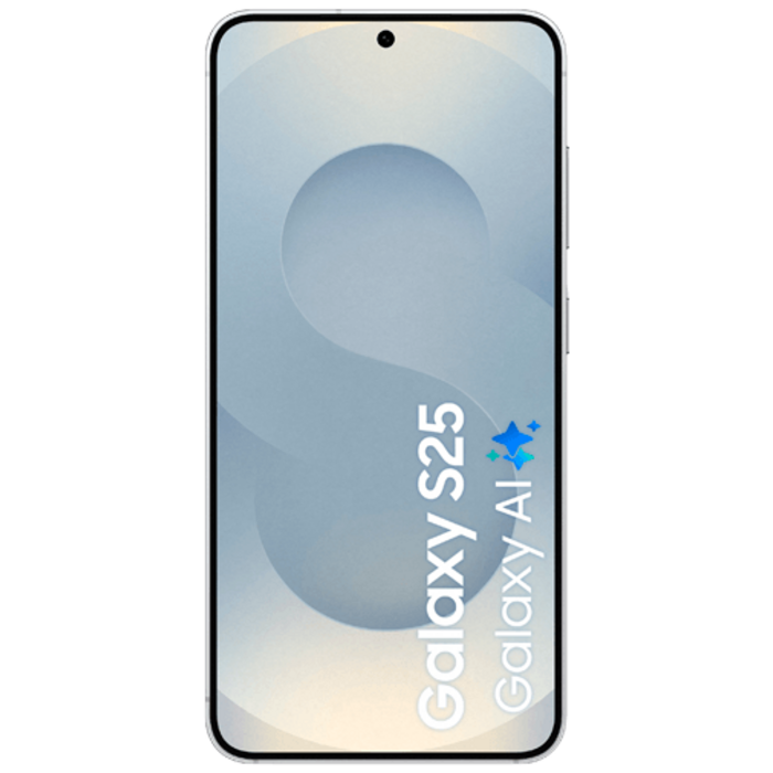 Samsung Samsung Galaxy S25 128GB Enterprise Edition - Zilver