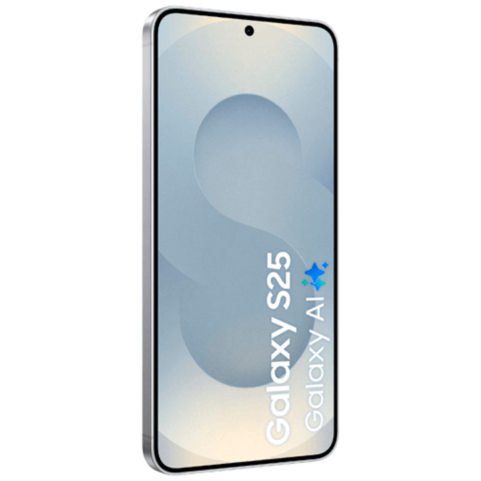 Samsung Samsung Galaxy S25 128GB Enterprise Edition - Zilver