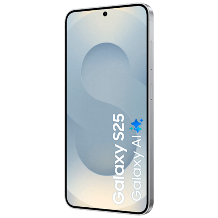Samsung Samsung Galaxy S25 128GB Enterprise Edition - Zilver