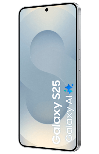 Samsung Samsung Galaxy S25 256GB S931 Zilver Enterprise Edition