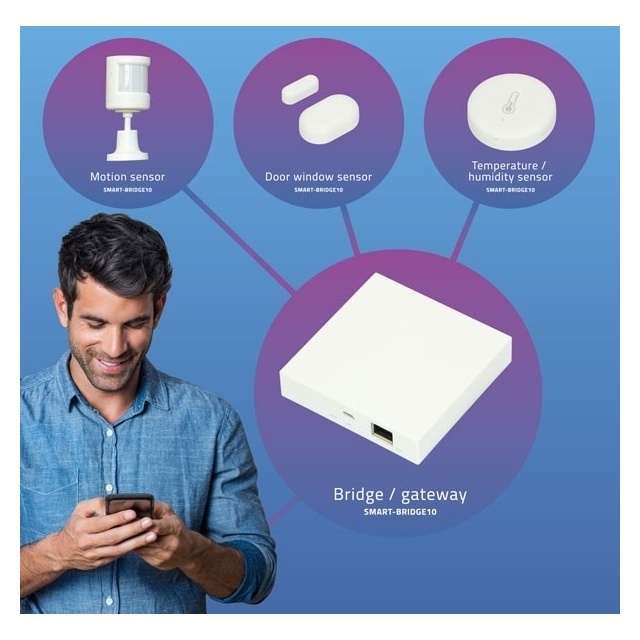 Alecto Alecto Smart Zigbee Bridge White - Compacte Smart Home Gateway