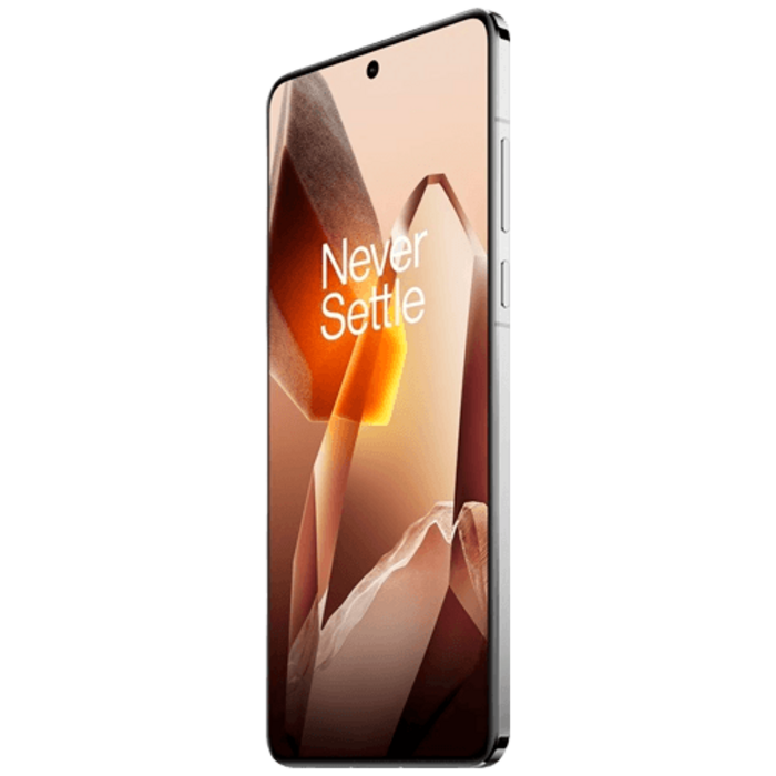 OnePlus OnePlus 13 512GB Wit