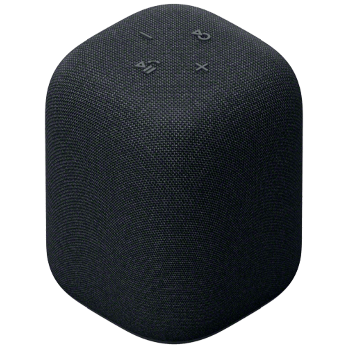 Sony Sony LinkBuds Speaker Zwart - Bluetooth Speaker met Oplaadstation