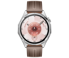 Huawei Huawei Watch GT 6 46mm Zilver (Bruine Band)