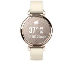 Garmin Garmin Lily 2 Smartwatch Goud (Witte Siliconenband)
