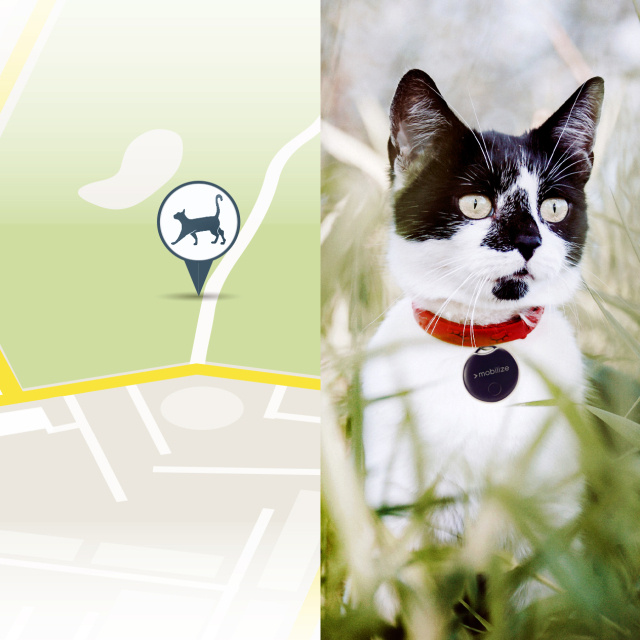 Mobilize Mobilize Find My Smart Tag - Zwart
