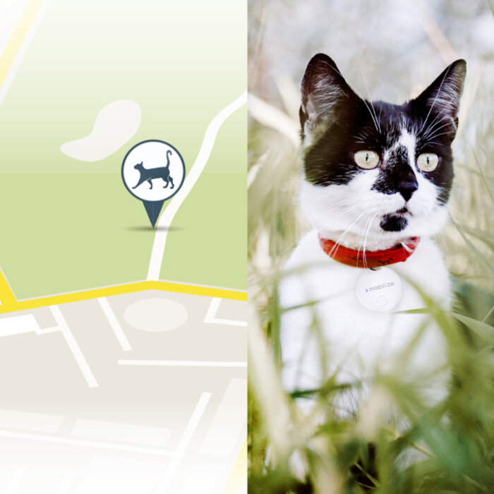 Mobilize Mobilize Find My Smart Tag 3-Pack Wit - Bluetooth Tracker