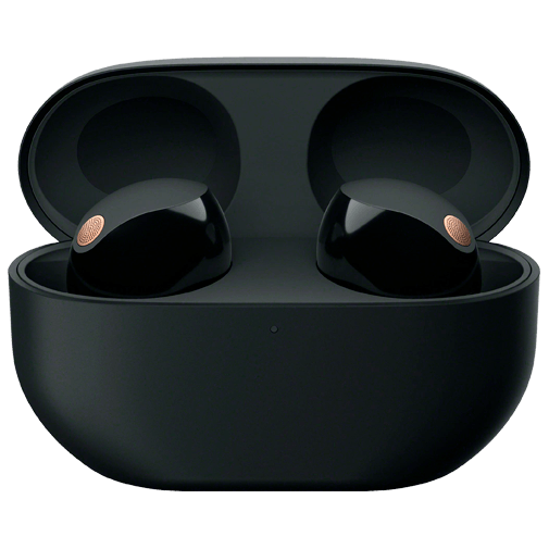 Sony Sony WF-1000XM5 Draadloze Noise Cancelling Oordopjes - Zwart
