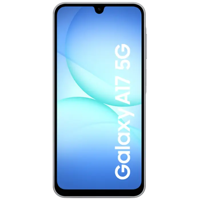 Samsung Samsung Galaxy A17 5G 256GB Grijs