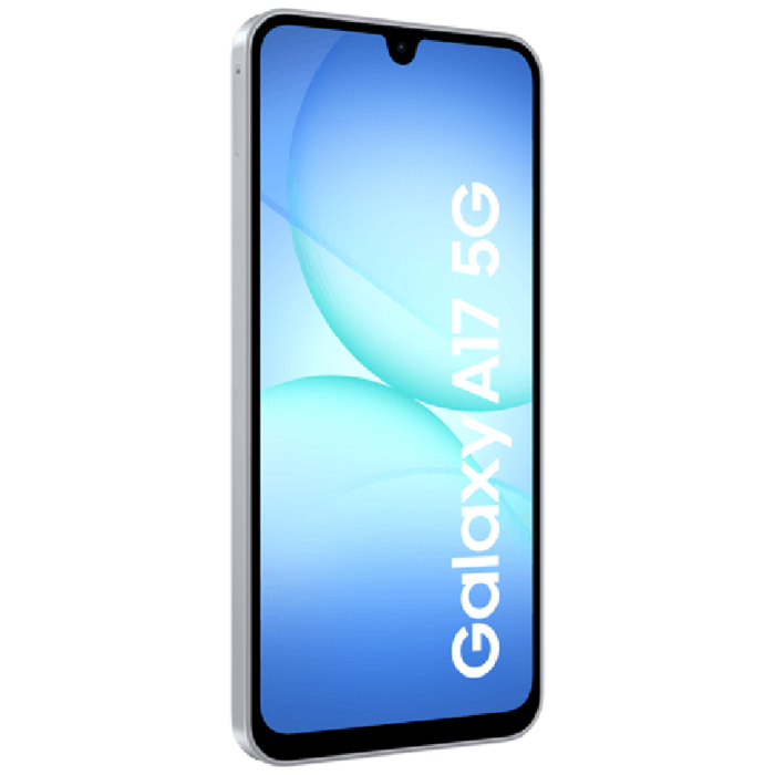 Samsung Samsung Galaxy A17 5G 256GB Grijs