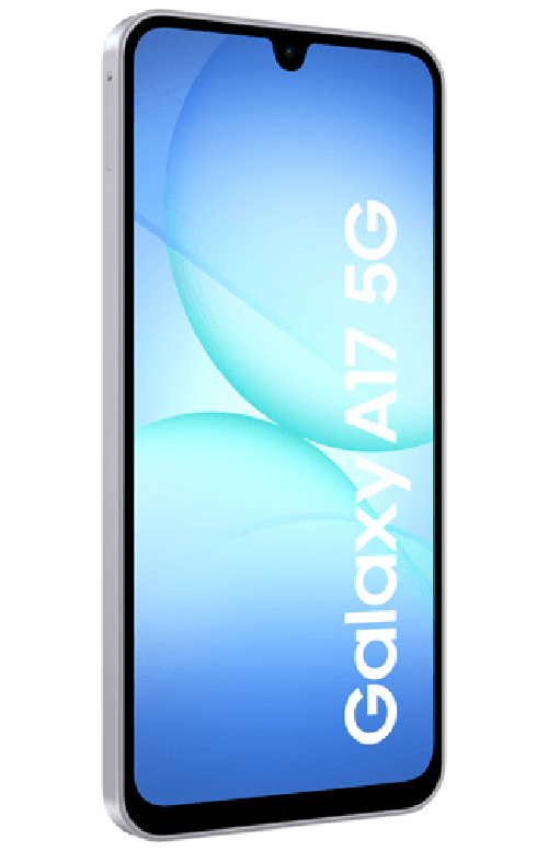 Samsung Samsung Galaxy A17 5G 256GB Grijs