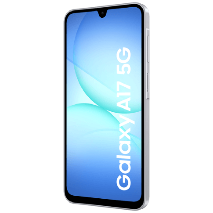 Samsung Samsung Galaxy A17 5G 256GB Grijs