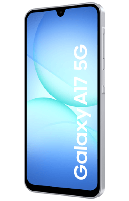 Samsung Samsung Galaxy A17 5G 256GB Grijs
