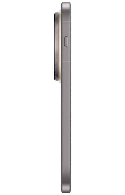 Vivo vivo X300 Pro 16GB/512GB Bruin