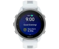 Garmin Garmin Forerunner 170 GPS Hardloophorloge - Whitestone / Cloud Blue