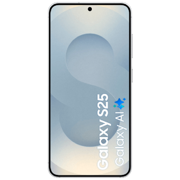 Samsung Samsung Galaxy S25 256GB Zilver