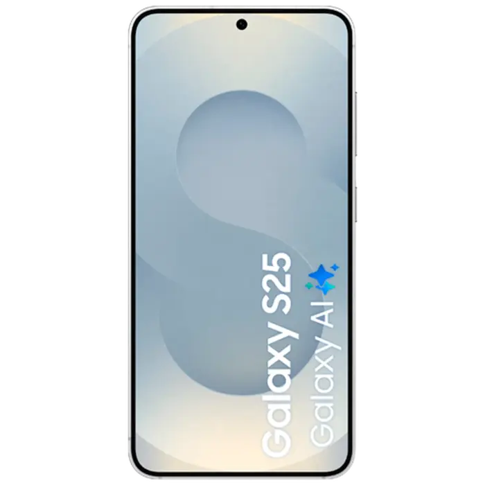 Samsung Samsung Galaxy S25 128GB S931 Zilver