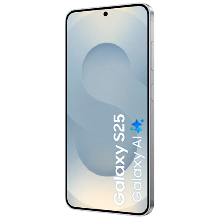 Samsung Samsung Galaxy S25 128GB S931 Zilver