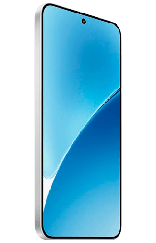 Xiaomi Xiaomi 15 12GB/256GB Wit Smartphone