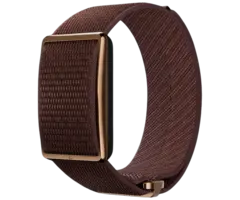 Polar Polar Loop Activity Tracker - Bruin