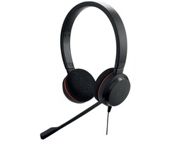 Jabra Jabra Evolve 20 MS Stereo Headset - USB-A & USB-C