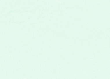 Badzout/scrubzout (mint)