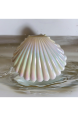 Schelp (wit) gevuld met 7 badparels- Body & Soap