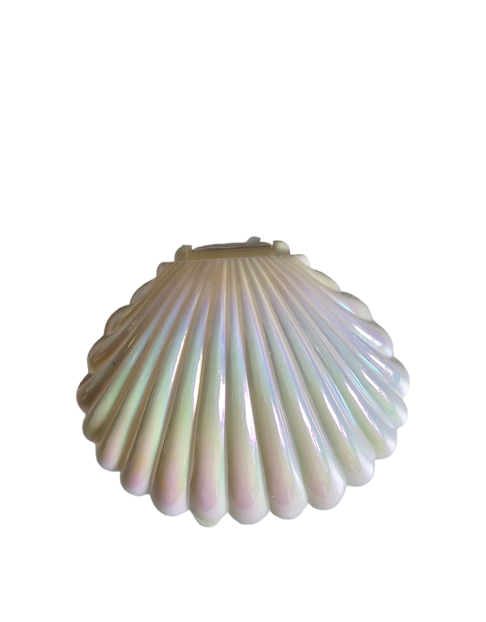 Schelp (wit) gevuld met 7 badparels- Body & Soap
