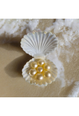 Schelp (wit) gevuld met 7 badparels- Body & Soap