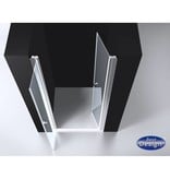 Best Design BD "ERICO" Pendeldeur met profiel 76-79cm H=200cm NANO glas 6mm