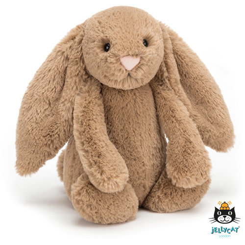 jellycat Bashful Biscuit Bunny Small 18cm jellycat Bashful Biscuit Bunny Small 18cm