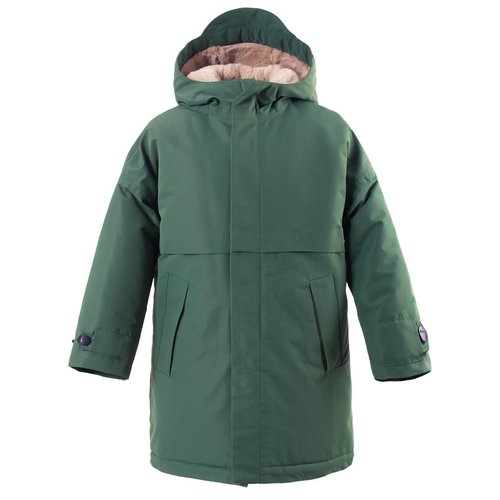 Gosoaky DESERT FOX green forest Gosoaky DESERT FOX green forest