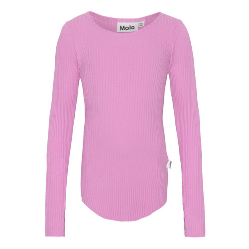 Molo Rochelle - Wild orched Molo Rochelle - Wild orched