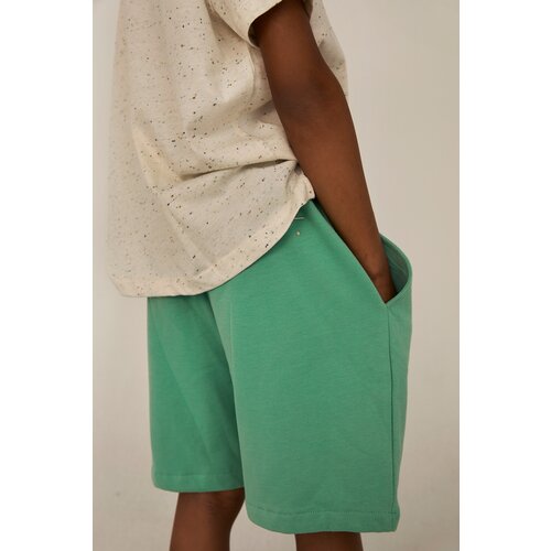 Gray Label Bermuda Shorts - Bright Green