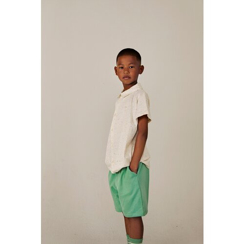 Gray Label Bermuda Shorts - Bright Green